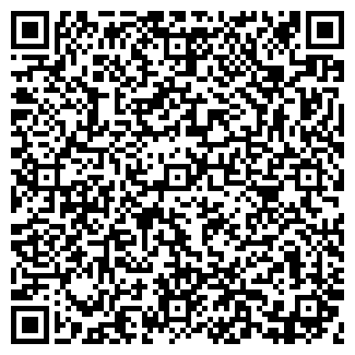 QR-код с контактной информацией организации Алюр, ООО