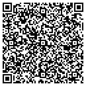 QR-код с контактной информацией организации ИП Ильдина