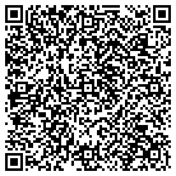 QR-код с контактной информацией организации Bliss - vlg