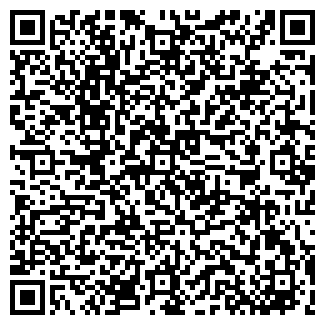 QR-код с контактной информацией организации ООО Store - IP