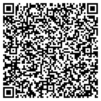 QR-код с контактной информацией организации ИП Red Dragon