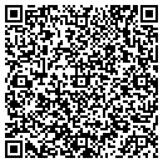 QR-код с контактной информацией организации ИП Кизина Д.А.