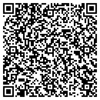 QR-код с контактной информацией организации АЛЬЯНС