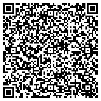 QR-код с контактной информацией организации ИП Сила