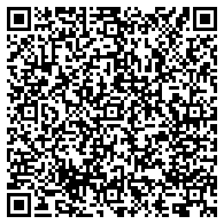 QR-код с контактной информацией организации ИП Apartments Tula
