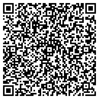 QR-код с контактной информацией организации ООО Строй - Блок