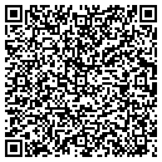 QR-код с контактной информацией организации ООО Ремонтейка