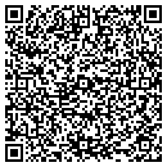 QR-код с контактной информацией организации ООО chemodan
