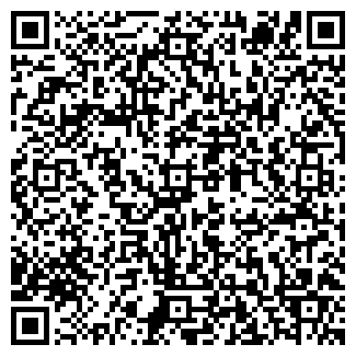 QR-код с контактной информацией организации ИП Ti Amo Pizza