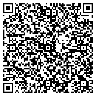 QR-код с контактной информацией организации СТО Молния-Элит