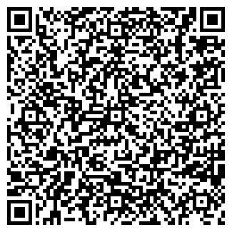 QR-код с контактной информацией организации ООО "Блиц Электро"