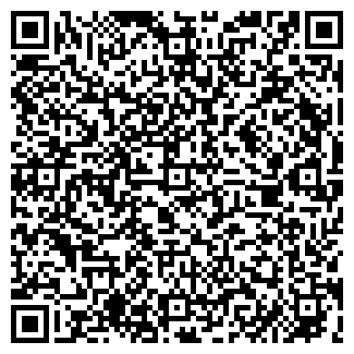 QR-код с контактной информацией организации ООО Домид - 59