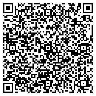 QR-код с контактной информацией организации ИП Айсбирг