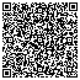 QR-код с контактной информацией организации ИП "Vean"