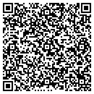 QR-код с контактной информацией организации DVS