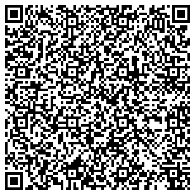 QR-код с контактной информацией организации ИП Kristaller Professional