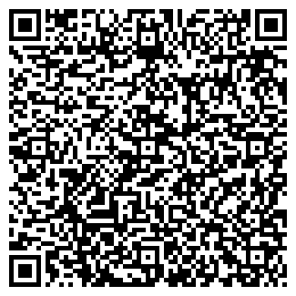 QR-код с контактной информацией организации ИП Bearing