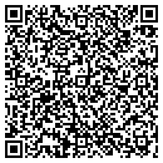 QR-код с контактной информацией организации ИП Alatau In
