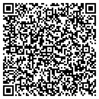 QR-код с контактной информацией организации ИП Шар Баспасы