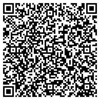 QR-код с контактной информацией организации ВОРОНИН С.А., ЧП