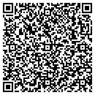 QR-код с контактной информацией организации ИП Нечаев П.Н.