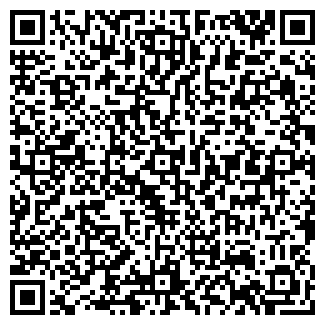QR-код с контактной информацией организации ИП Геберния