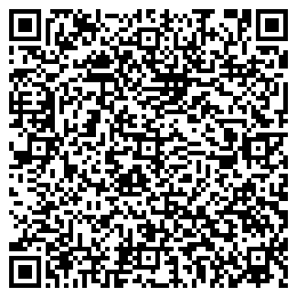 QR-код с контактной информацией организации ООО sinitsa.tk