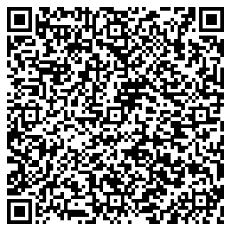 QR-код с контактной информацией организации ООО Pro - Мойка