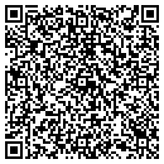QR-код с контактной информацией организации ИП Bestzapravka