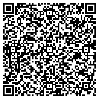 QR-код с контактной информацией организации ИП Solo