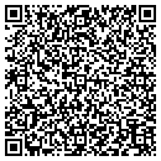 QR-код с контактной информацией организации ООО ДВС Трак