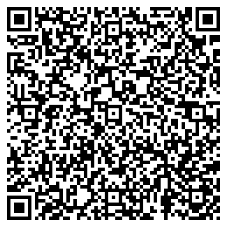 QR-код с контактной информацией организации ИП ТД Волгин