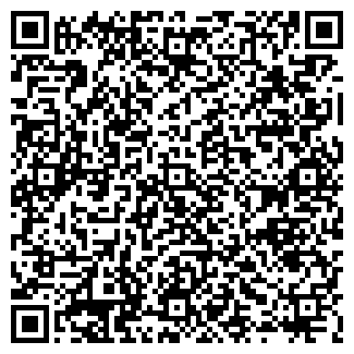 QR-код с контактной информацией организации ИП KRISLIS