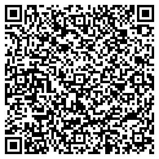 QR-код с контактной информацией организации ООО Ситифрост