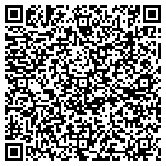 QR-код с контактной информацией организации ЛЭМЗ ТД