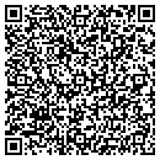 QR-код с контактной информацией организации ИП Planetaigrushki