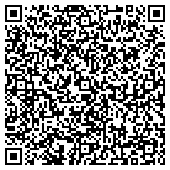 QR-код с контактной информацией организации ООО Дэмис Групп
