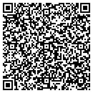 QR-код с контактной информацией организации ИП Ai Mosaic