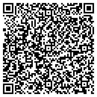 QR-код с контактной информацией организации ИП Томодачи