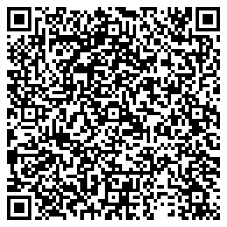 QR-код с контактной информацией организации ИП Айфон - Омск