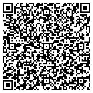 QR-код с контактной информацией организации ООО Шейх Lounge