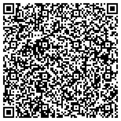 QR-код с контактной информацией организации Автосервис «Северная Звезда»