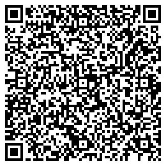 QR-код с контактной информацией организации ООО VipMemorial