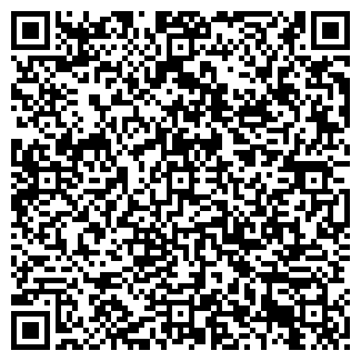 QR-код с контактной информацией организации ООО Vlarus