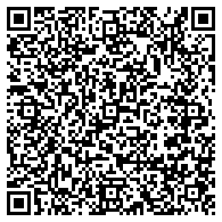 QR-код с контактной информацией организации ИП Шокоподарок