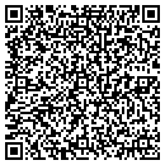 QR-код с контактной информацией организации ООО ЛеМакс