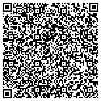 QR-код с контактной информацией организации Детская школа искусств  "ЛИРА"
