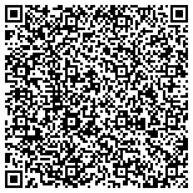 QR-код с контактной информацией организации Детская школа искусств №14