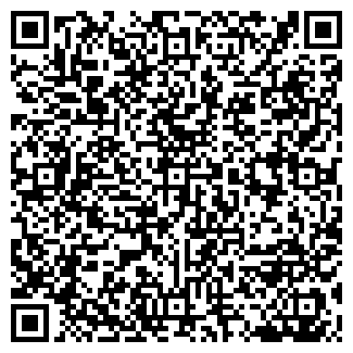 QR-код с контактной информацией организации МОРИС, ПКП