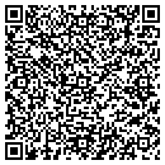 QR-код с контактной информацией организации НЕКОУЗСКАЯ ДМШ